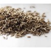 印度進口孜然供應 Cumin